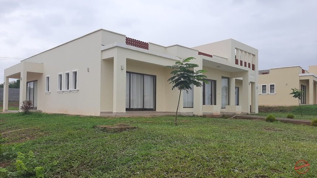 PAZURI AT VIPINGO