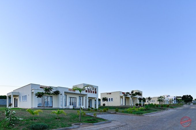 PAZURI AT VIPINGO