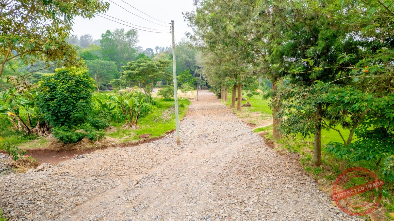 Plots for sale in Ngong