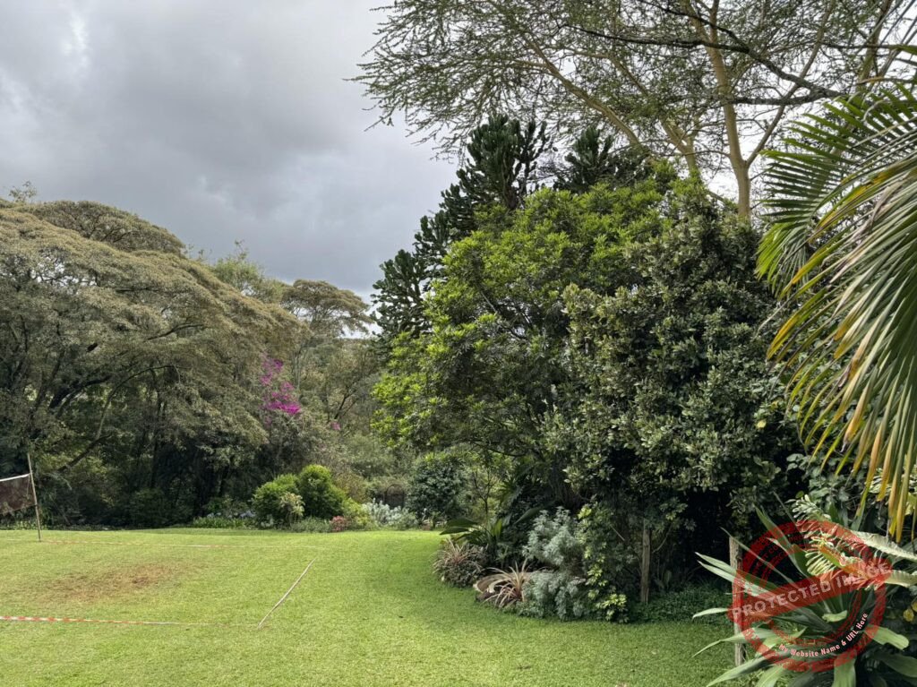 Houses for Sale in Kiambu Road