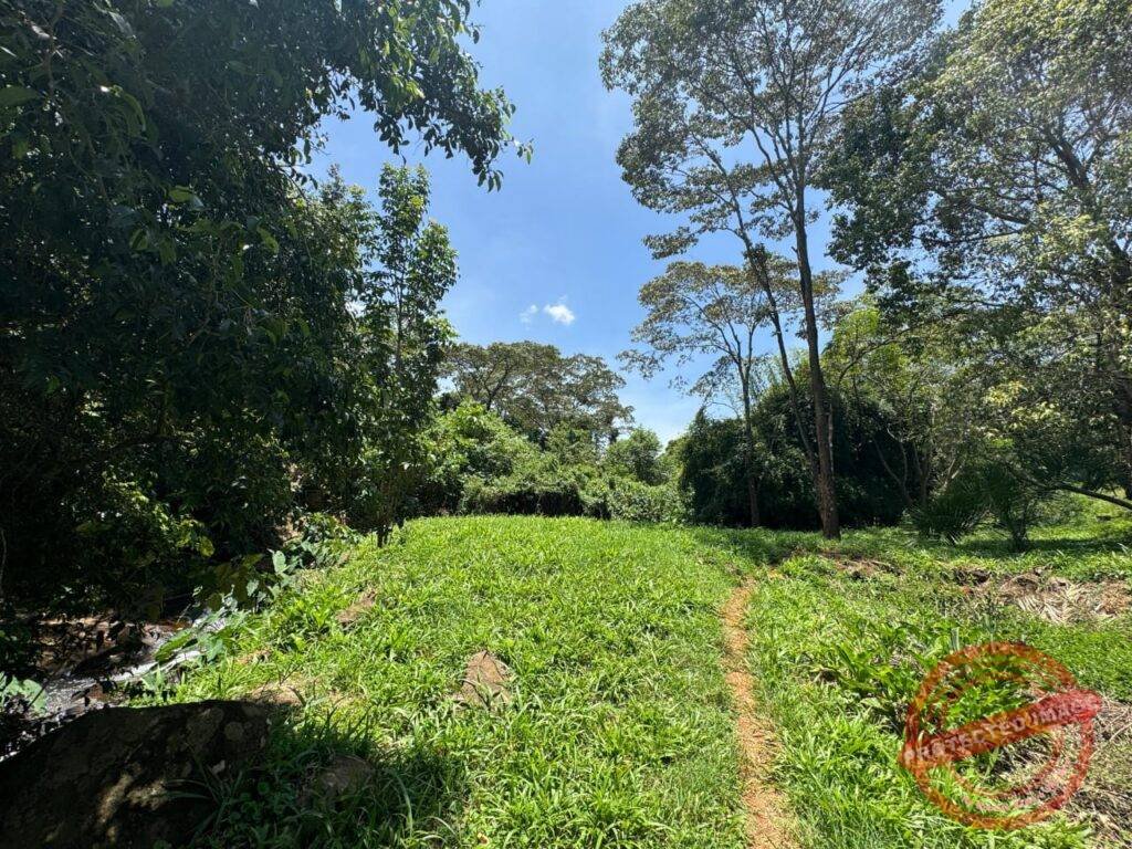 Houses for Sale in Kiambu Road