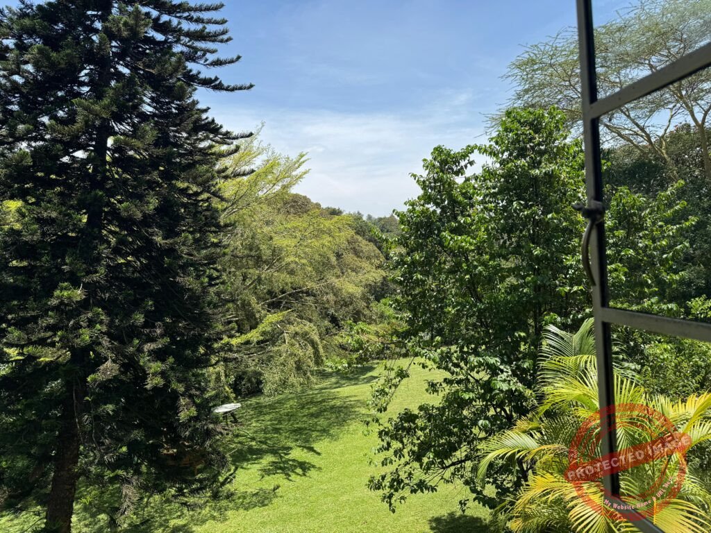 Houses for Sale in Kiambu Road