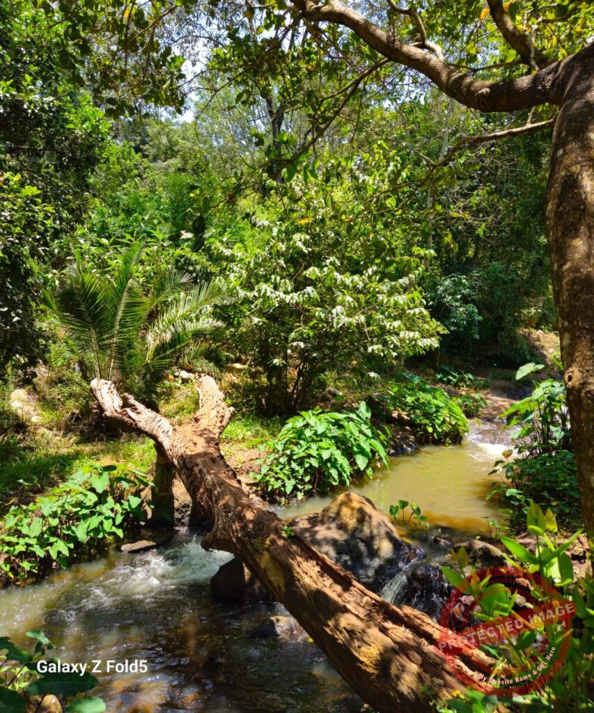 Houses for Sale in Kiambu Road