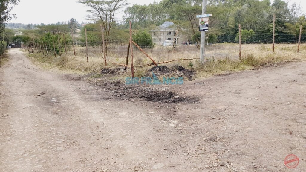 Ngoroi Plots photo 3
