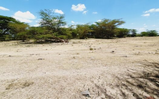 Prime Land For Sale in Kitengela, Isinya and Konza Areas. Selling From Ksh. 1.7M per acre.