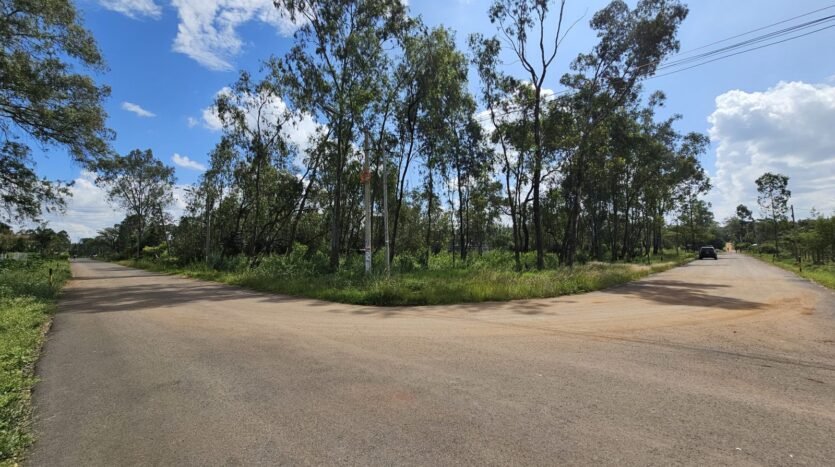 Garden Estate Commercial land