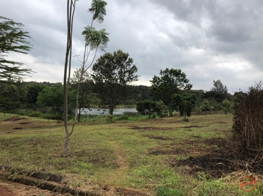 Riverview Estate photo 4