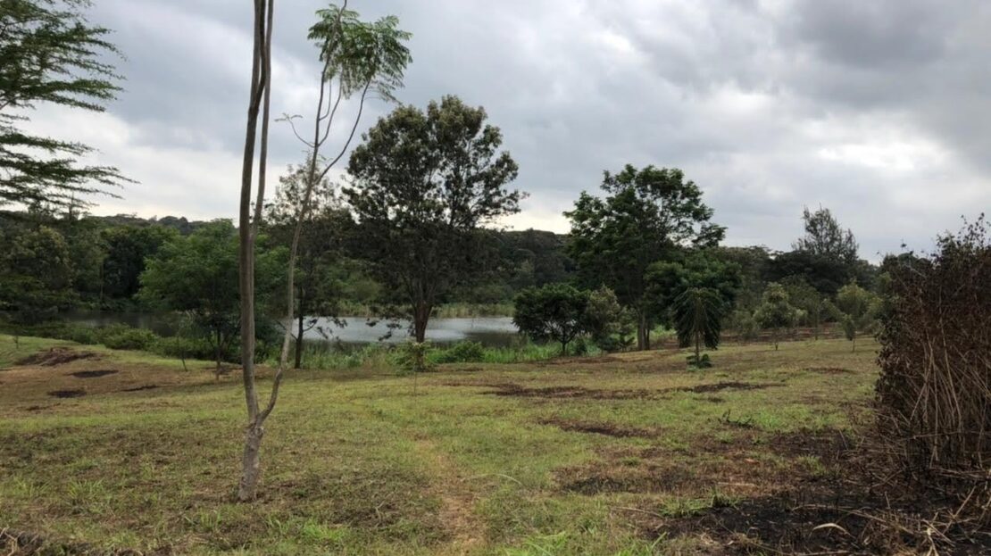 Prime 1/2 Acre Land FOR SALE At Riverview Estate, Kiambu Road., Baringo > Kiambu Road, Nairobi