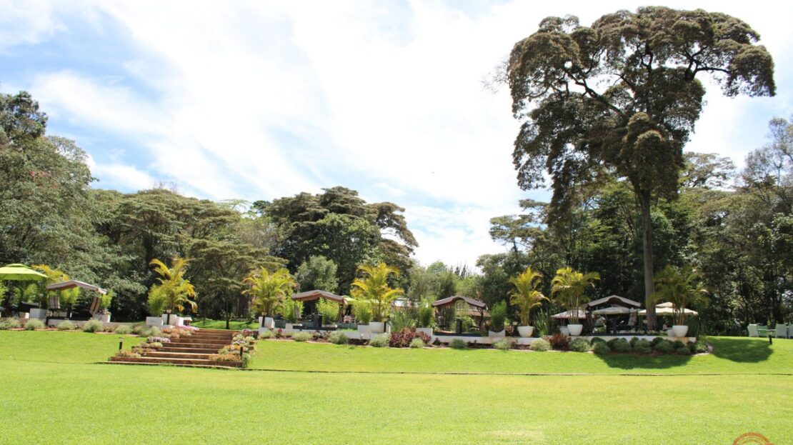 Karen Furnished Monthly Rentals – Daily Rates: 1 Bed, Nairobi