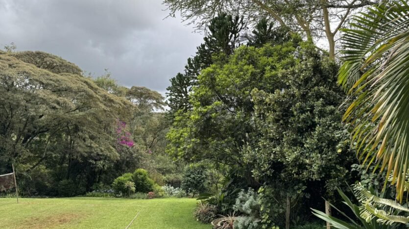 Houses for Sale in Kiambu Road