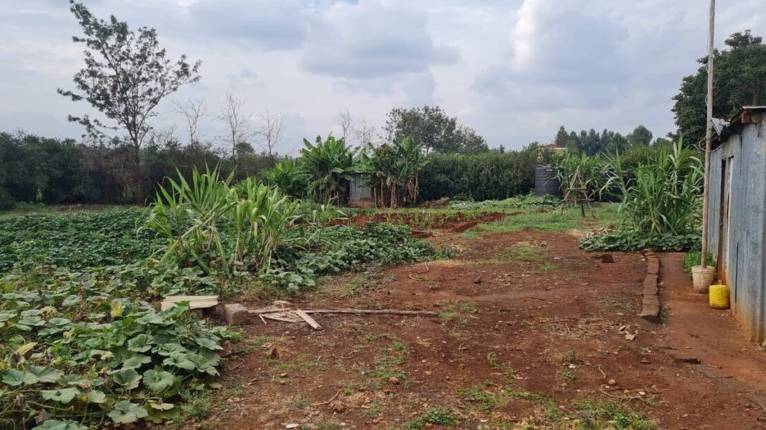 Prime 1/2 Acre Land FOR SALE At Riverview Estate, Kiambu Road., Baringo > Kiambu Road, Nairobi