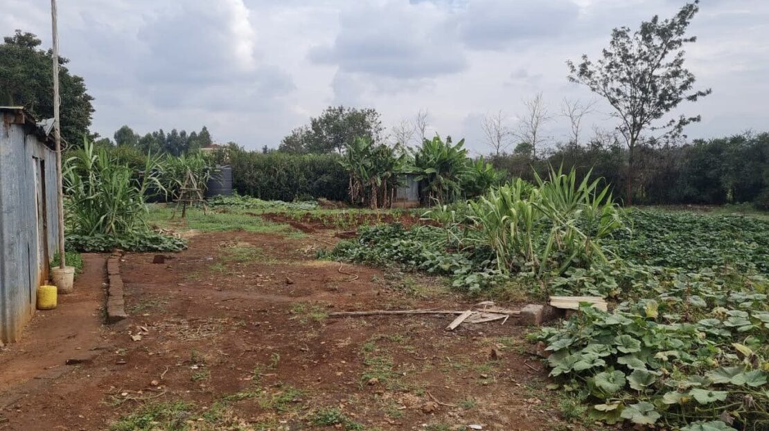 Prime 1/2 Acre Land FOR SALE At Riverview Estate, Kiambu Road., Baringo > Kiambu Road, Nairobi
