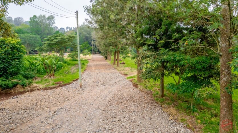 Plots for sale in Ngong