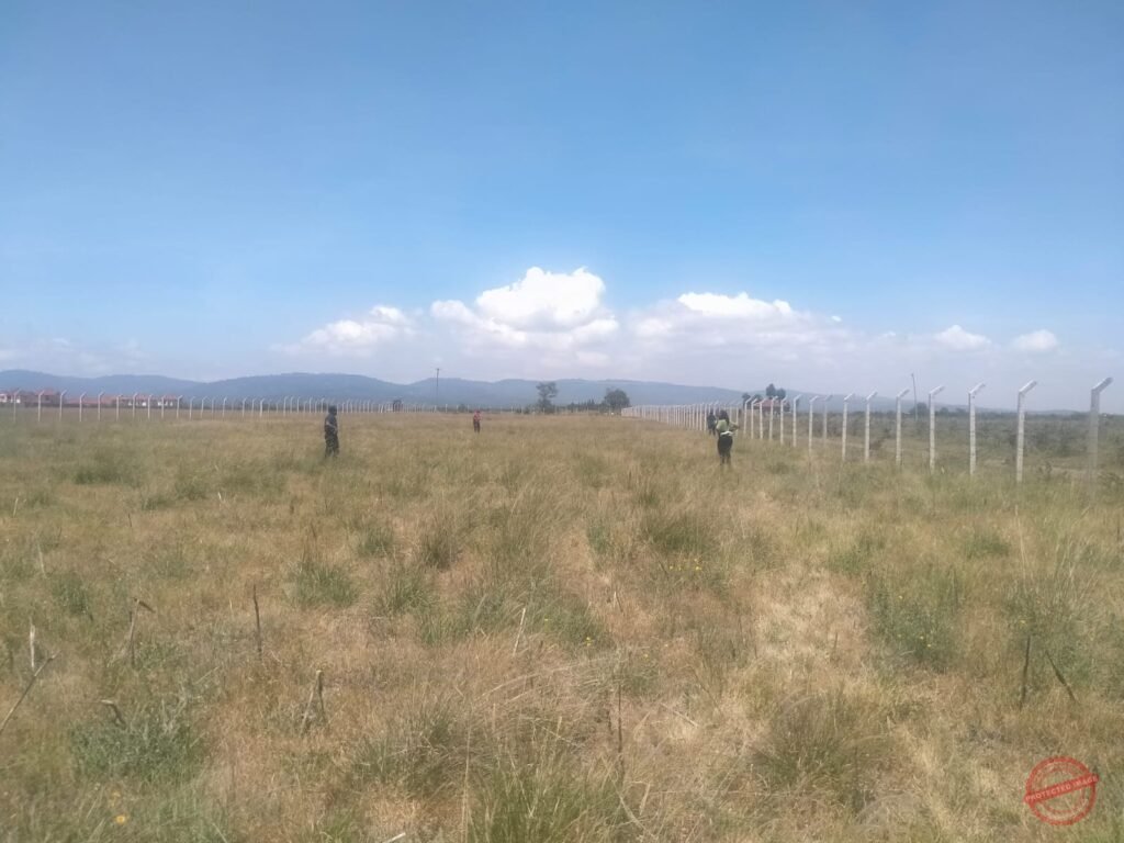 Koma Hills Gardens photo 1