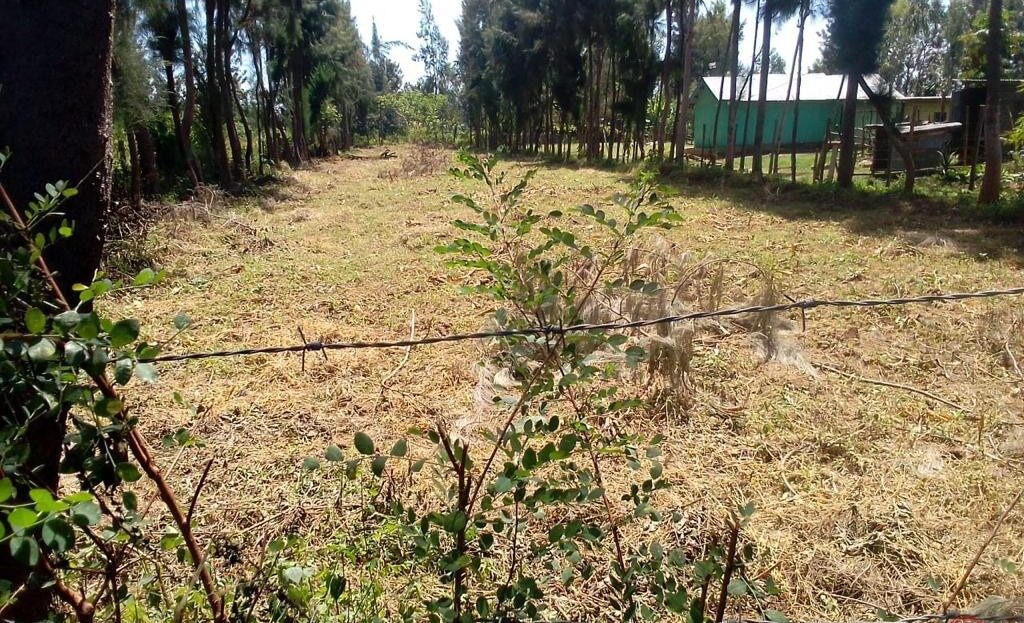 0.14 Ha ( 1,400 Sqm) Plot For Sale – Nyamasaria Behind Dubai Complex, Kisumu City., Kisumu > Nyamasaria, Nairobi
