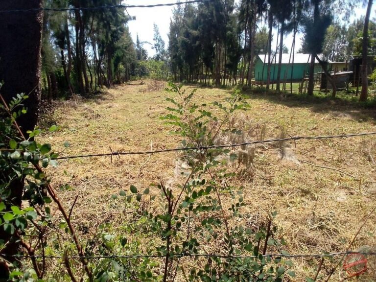 Land for Sale in Kisumu photo 1
