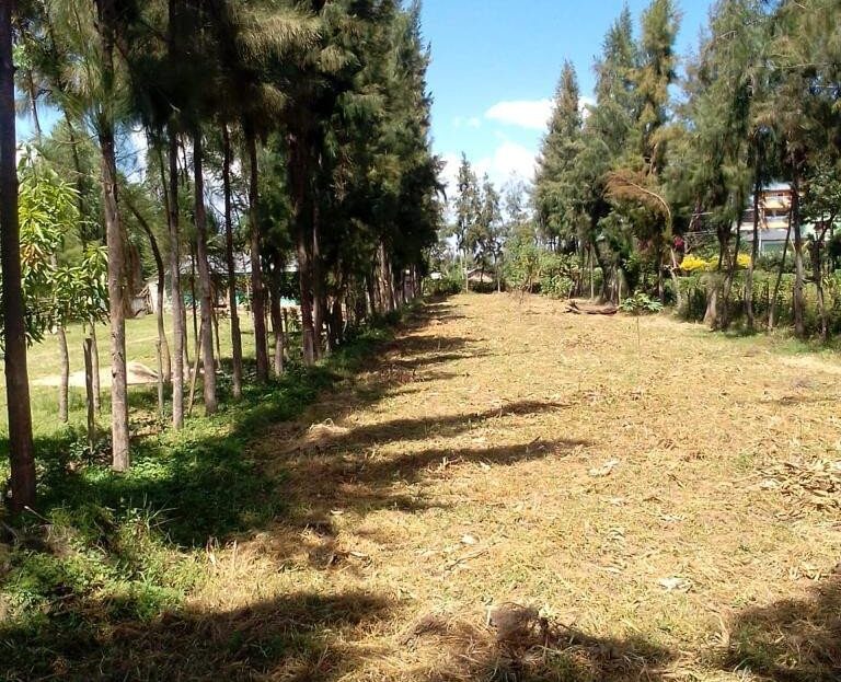 0.14 Ha ( 1,400 Sqm) Plot For Sale – Nyamasaria Behind Dubai Complex, Kisumu City., Kisumu > Nyamasaria, Nairobi