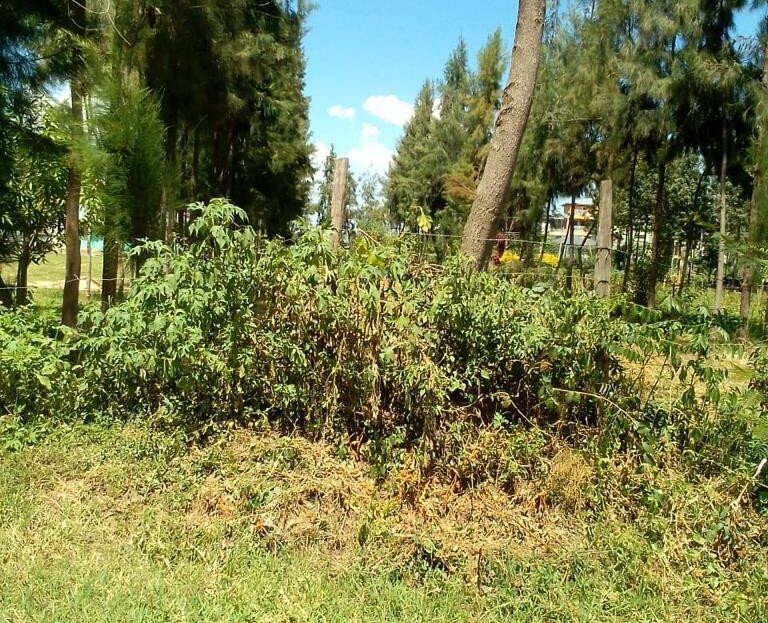 0.14 Ha ( 1,400 Sqm) Plot For Sale – Nyamasaria Behind Dubai Complex, Kisumu City., Kisumu > Nyamasaria, Nairobi