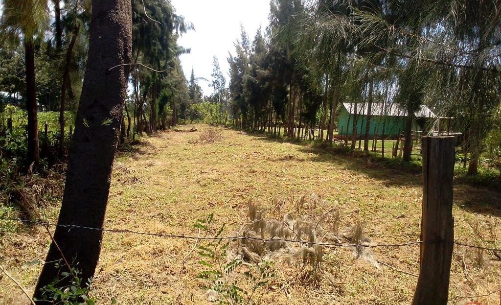 0.14 Ha ( 1,400 Sqm) Plot For Sale – Nyamasaria Behind Dubai Complex, Kisumu City., Kisumu > Nyamasaria, Nairobi