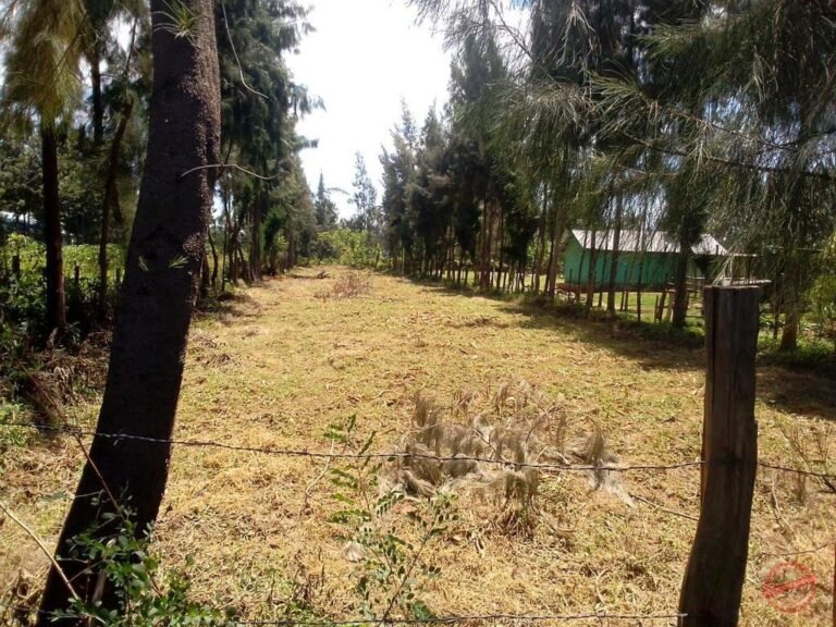 Land for Sale in Kisumu photo 2
