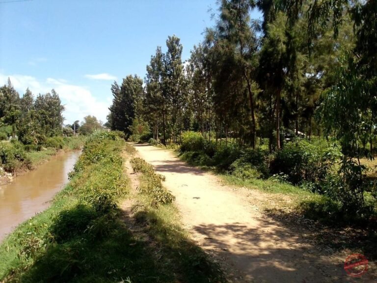 Land for Sale in Kisumu photo 3