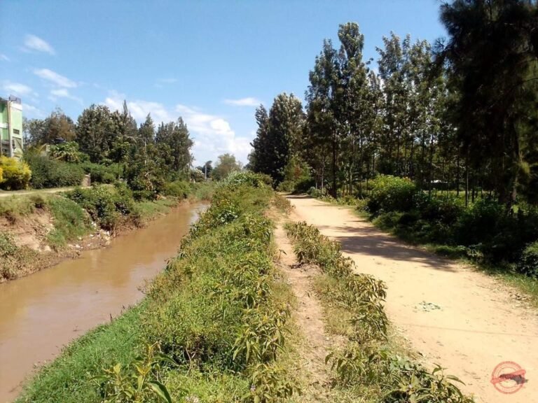 Land for Sale in Kisumu photo 4