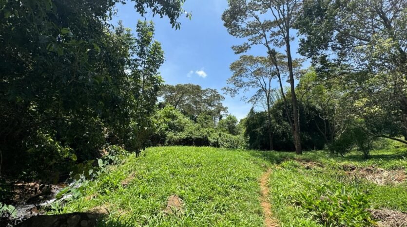 Houses for Sale in Kiambu Road