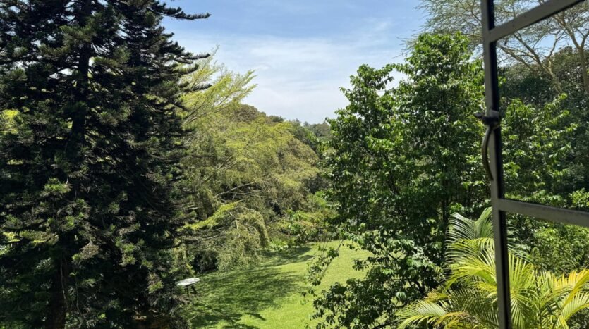 Houses for Sale in Kiambu Road