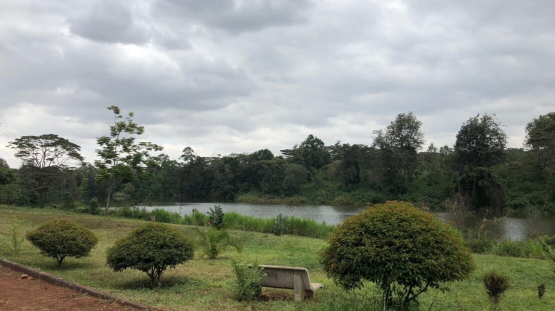 Prime 1/2 Acre Land FOR SALE At Riverview Estate, Kiambu Road., Baringo > Kiambu Road, Nairobi