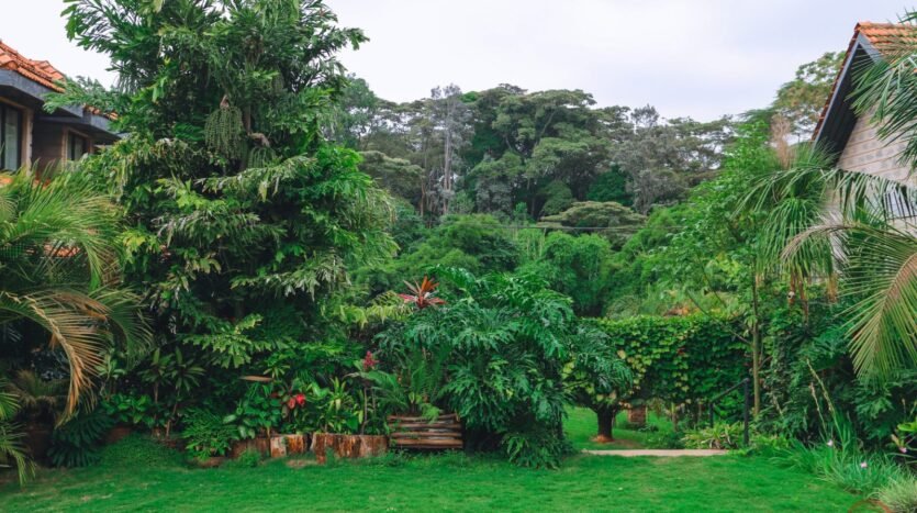 Sir Francis Consultants - Kiambu road Villas