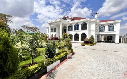 ‘White House’ Karen Property Houses For Sale Ksh. 180m
