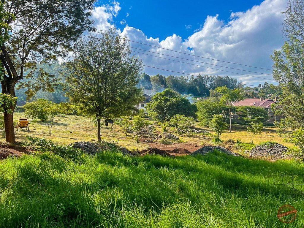 Tulivu Estate photo 3