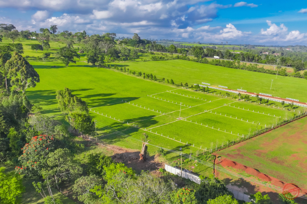 Land title search in Kenya – Isanji Village plots, Tigoni
