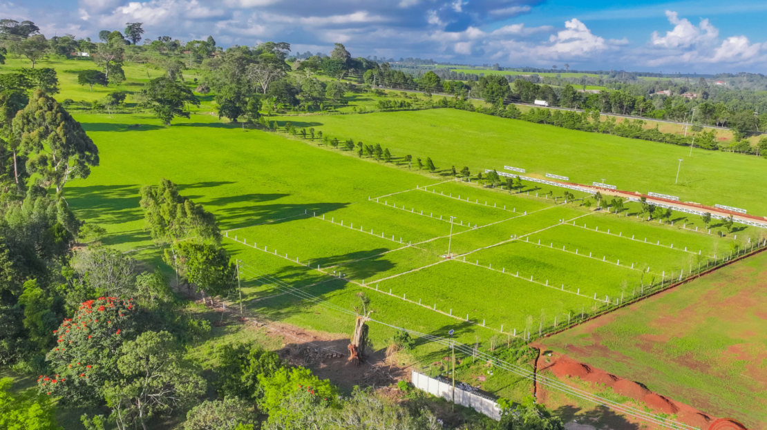 Plots for sale in Tigoni, Kiambu County > Tigoni Limuru Road, Nairobi