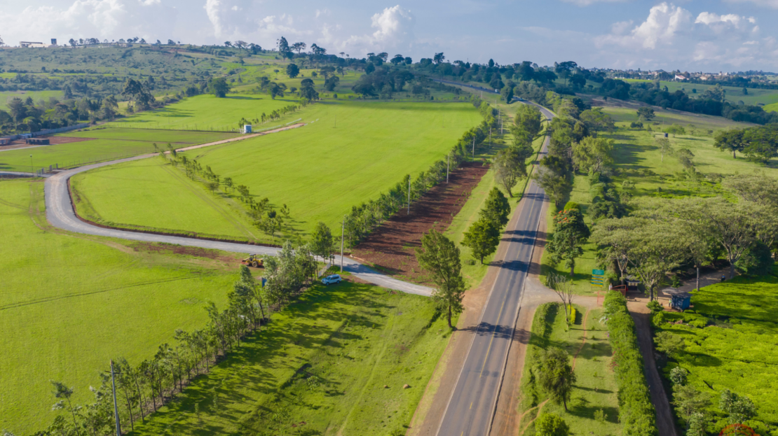 Prime 1/4 Acre Plots For Sale In Tigoni, Limuru Road, Kiambu County > Tigoni Limuru Road, Nairobi