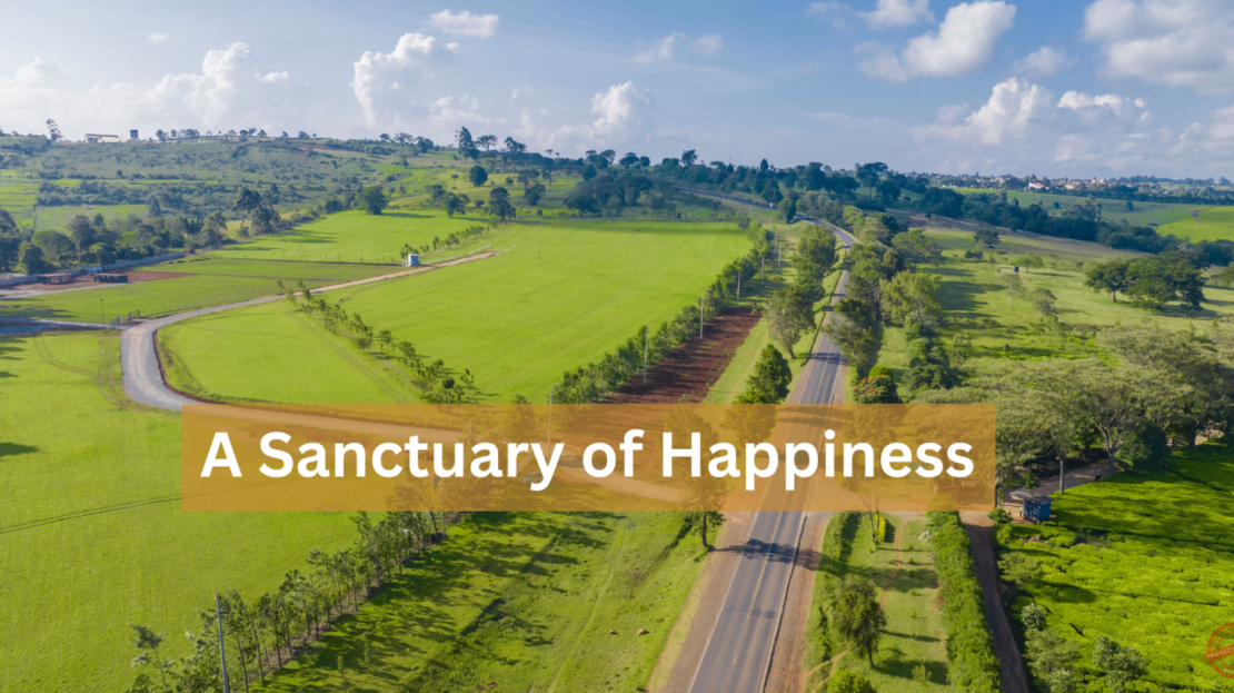 Prime 1/4 Acre Plots For Sale In Tigoni, Limuru Road, Kiambu County > Tigoni Limuru Road, Nairobi